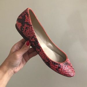 Orange Python Print Stella McCartney Flats